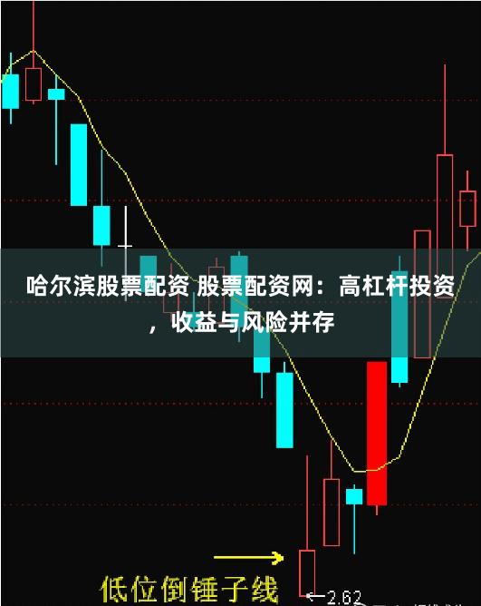 哈尔滨股票配资 股票配资网：高杠杆投资，收益与风险并存