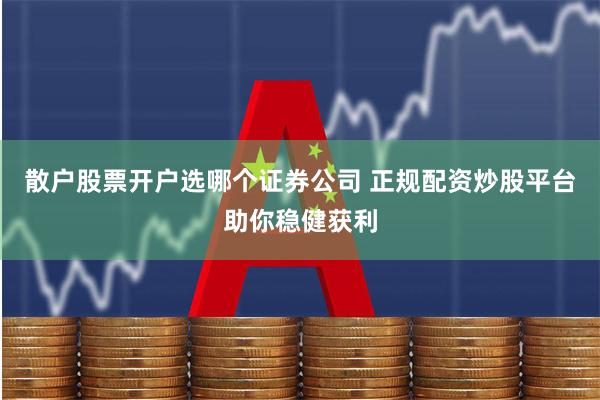 散户股票开户选哪个证券公司 正规配资炒股平台助你稳健获利
